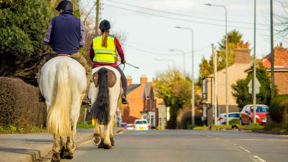 How to Drive Past Horses Safely on the Road
