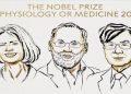 Nobel Prize in Medicine for the discovery of 'Peripheral Immune Tolerance'