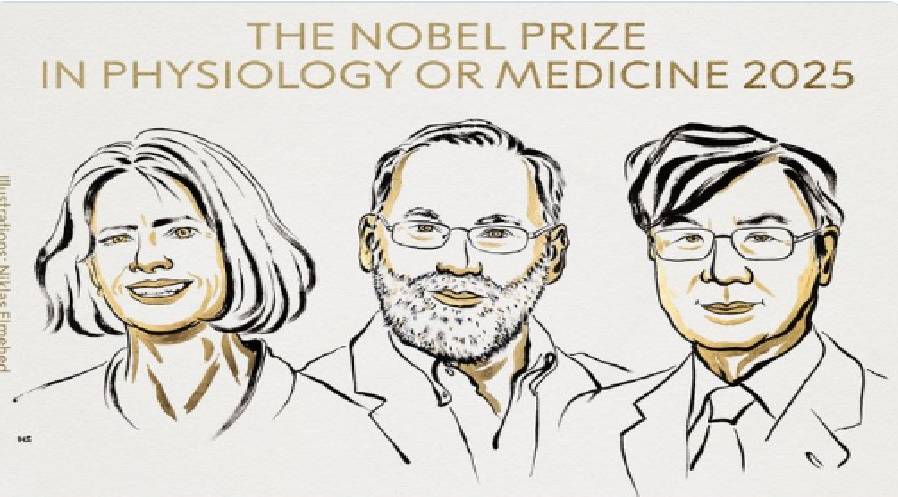 Nobel Prize in Medicine for the discovery of 'Peripheral Immune Tolerance'
