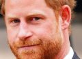 News diary 10-16 November: Prince Harry v Associated Newspapers hearing, Lammy faces prisoner release questions, I’m a Celeb returns