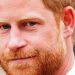 News diary 10-16 November: Prince Harry v Associated Newspapers hearing, Lammy faces prisoner release questions, I’m a Celeb returns