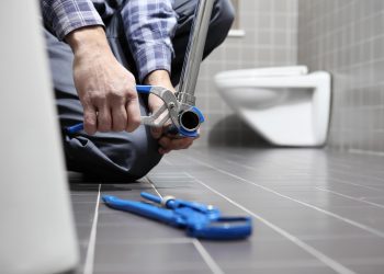 Sonia Kumar MP: ‘How Britain’s leaky loos waste over a billion litres every day’