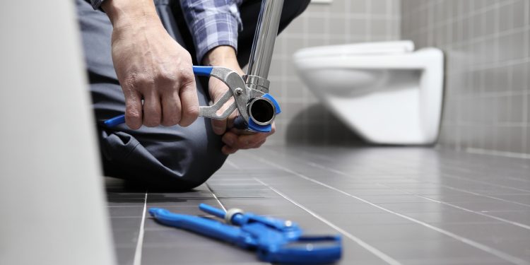 Sonia Kumar MP: ‘How Britain’s leaky loos waste over a billion litres every day’