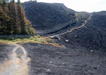 UK and Welsh governments must act together to prepare for future wildfires