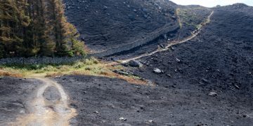 UK and Welsh governments must act together to prepare for future wildfires